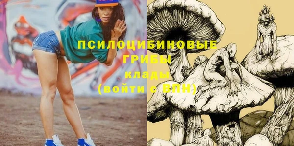 бутират Новозыбков