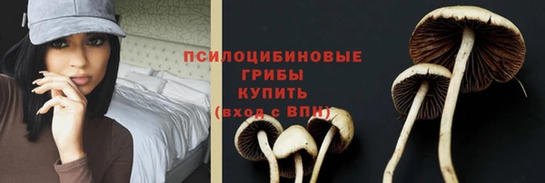 дживик Новокубанск