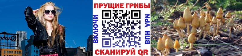 Псилоцибиновые грибы мухоморы  Ковров 