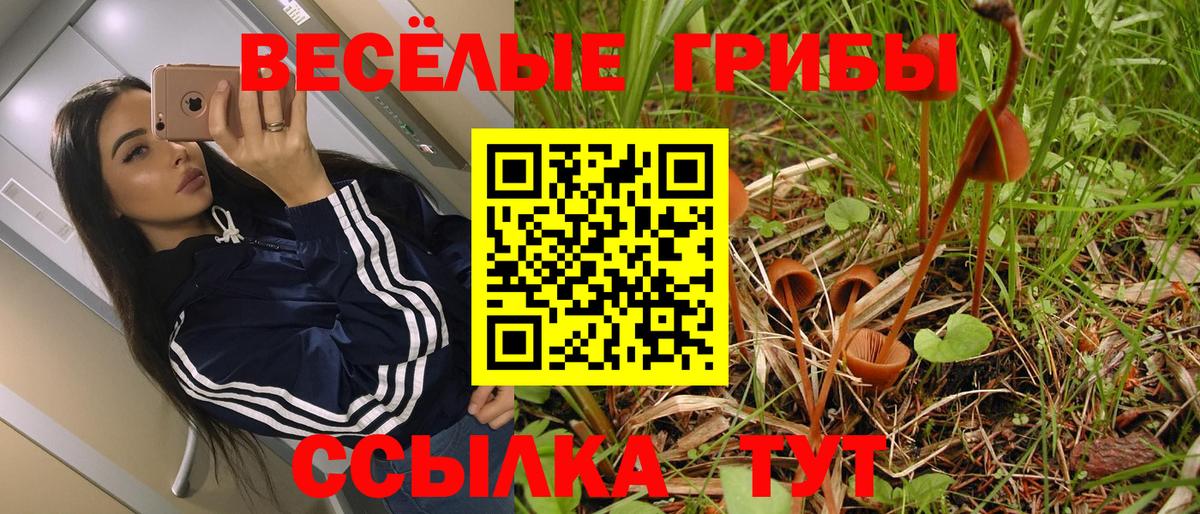 Галлюциногенные грибы прущие грибы  Ковров 