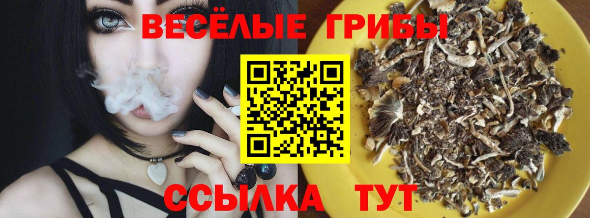 Псилоцибиновые грибы прущие грибы Ковров
