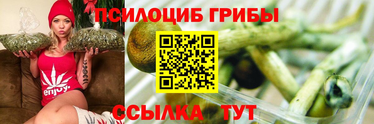 Ковров  Псилоцибиновые грибы MAGIC MUSHROOMS  Вход с VPN 
